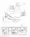 Fig. 01 - Blind image deblurring with cascade architecture
