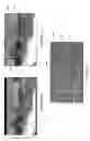 Fig. 08 - Method, apparatus and computer program product for generating panorama images