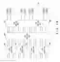 Fig. 19 - Transmission apparatus