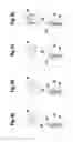 Fig. 06 - Device for Explosion Decoupling of Two System Parts