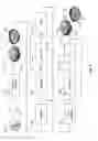 Fig. 05 - METHOD OF MANUFACTURING AND PROVIDING LITHOGRAPHY ON METALLIC ROPP AND CROWN CLOSURES