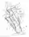 Fig. 02 - Cargo carrier systems for passenger trucks