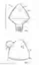 Fig. 02 - Boat propeller nut