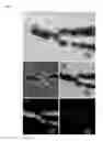 Fig. 05 - Rare Earth Composite Magnets with Increased Resistivity