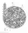Fig. 04 - LASER RING FOR ERADICATING POLLUTANTS