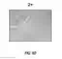 Fig. 16 - Anti-Ly6E antibodies and methods of use