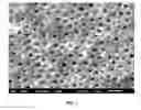 Fig. 02 - Compositions containing theobromine and their use in treating tooth hypersensitivity