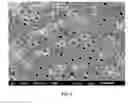 Fig. 04 - Compositions containing theobromine and their use in treating tooth hypersensitivity
