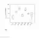 Fig. 02 - Method for detoxification or measurement of at least one compound or at least one fluid in a host body