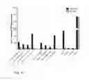 Fig. 06 - Method of inducing an anti-HIV-1 immune response comprising administering a C5/TM-GP41 peptide dimer