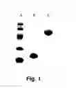 Fig. 02 - Polyalkylene Polymer Compounds and Uses Thereof