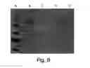 Fig. 06 - Polyalkylene Polymer Compounds and Uses Thereof