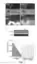 Fig. 02 - Bacterium for use as a probiotic for nutritional and medical applications