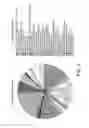 Fig. 04 - Bacterium for use as a probiotic for nutritional and medical applications