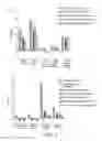 Fig. 07 - Bacterium for use as a probiotic for nutritional and medical applications