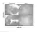 Fig. 16 - Bacterium for use as a probiotic for nutritional and medical applications