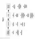 Fig. 02 - Methods and Compositions for Treating Disease