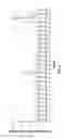 Fig. 07 - Nuclease-mediated regulation of gene expression