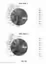 Fig. 17 - Nuclease-mediated regulation of gene expression