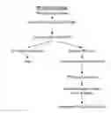 Fig. 02 - Methods, Compounds and Compositions for Treatment of Influenza and Parainfluenza Patients
