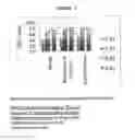 Fig. 08 - Theacrine-based supplement and method of use thereof