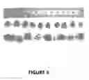 Fig. 04 - Methods for modulating Th1/Th2 cell balance by increasing leptin activity