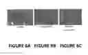 Fig. 07 - Methods for modulating Th1/Th2 cell balance by increasing leptin activity