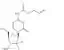 Fig. 05 - Gemcitabine prodrugs and uses thereof