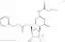Fig. 18 - Gemcitabine prodrugs and uses thereof