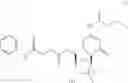 Fig. 19 - Gemcitabine prodrugs and uses thereof