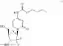 Fig. 22 - Gemcitabine prodrugs and uses thereof