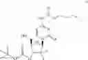 Fig. 23 - Gemcitabine prodrugs and uses thereof