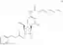 Fig. 90 - Gemcitabine prodrugs and uses thereof