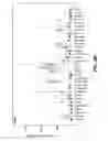 Fig. 09 - KLOTHO BETA