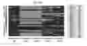 Fig. 35 - INTERFERON ALPHA-INDUCED PHARMACODYNAMIC MARKERS