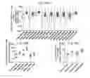 Fig. 45 - INTERFERON ALPHA-INDUCED PHARMACODYNAMIC MARKERS