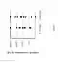 Fig. 02 - METHOD OF GENERATING HUMAN MONOCLONAL ANTIBODIES
