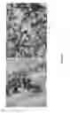Fig. 09 - METHOD OF GENERATING HUMAN MONOCLONAL ANTIBODIES