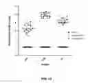 Fig. 32 - Bacterial vaccine components and uses thereof