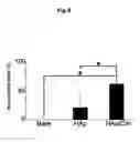 Fig. 09 - BIOMATERIAL COATED WITH HAp/Col COMPOSITE