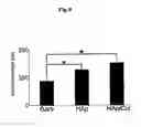 Fig. 10 - BIOMATERIAL COATED WITH HAp/Col COMPOSITE