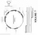 Fig. 08 - Composition and methods for reduced scarring and treatment of fibrosis