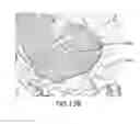 Fig. 32 - AGENTS AND DEVICES FOR AFFECTING NERVE FUNCTION