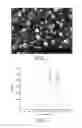 Fig. 02 - Method for preparing diamond carbon membrane on surface of stainless steel