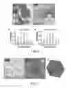 Fig. 06 - Highly active and durable fuel cell electro-catalyst with hybrid support