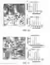 Fig. 08 - Highly active and durable fuel cell electro-catalyst with hybrid support