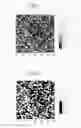 Fig. 02 - TONER, DEVELOPER AND IMAGE FORMING APPARATUS USING THE SAME