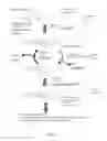 Fig. 02 - Polymerase idling method for single molecule DNA sequencing