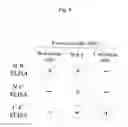 Fig. 09 - Method for diagnosing cancer by detecting GPC3