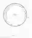 Fig. 09 - Polypeptide for improving protein production in microorganisms of the phylum Labyrinthulomycota